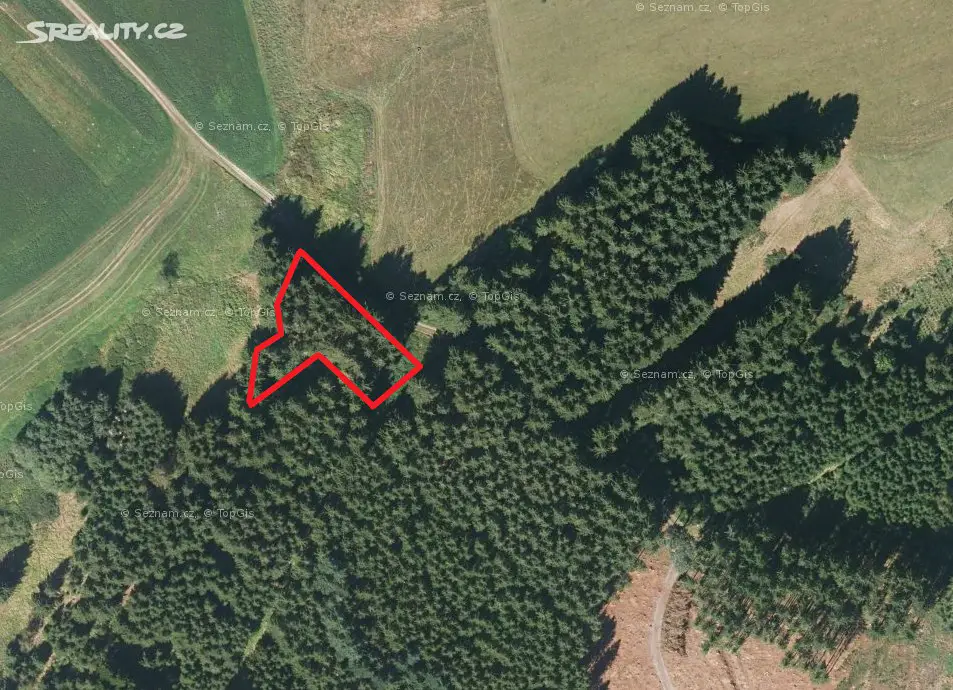 Prodej  lesa 790 m², Kdyně, okres Domažlice
