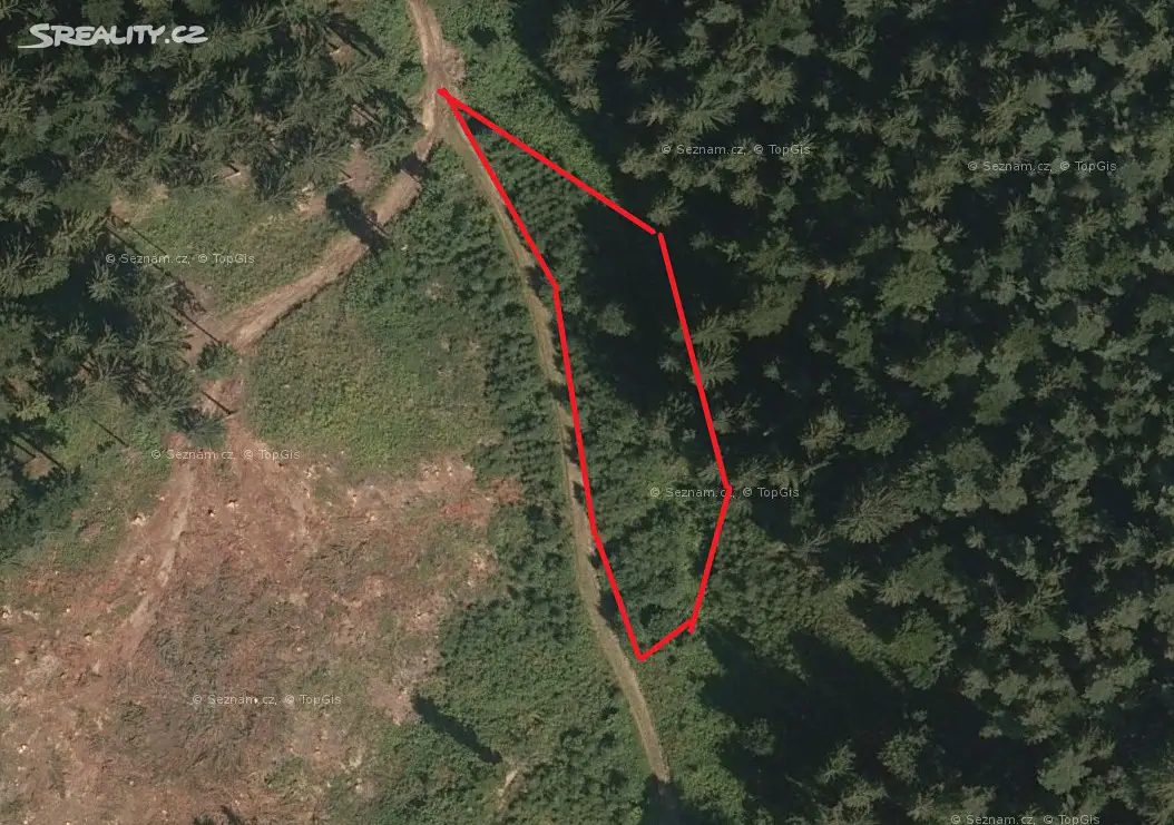 Prodej  lesa 1 497 m², Lhota u Vsetína, okres Vsetín