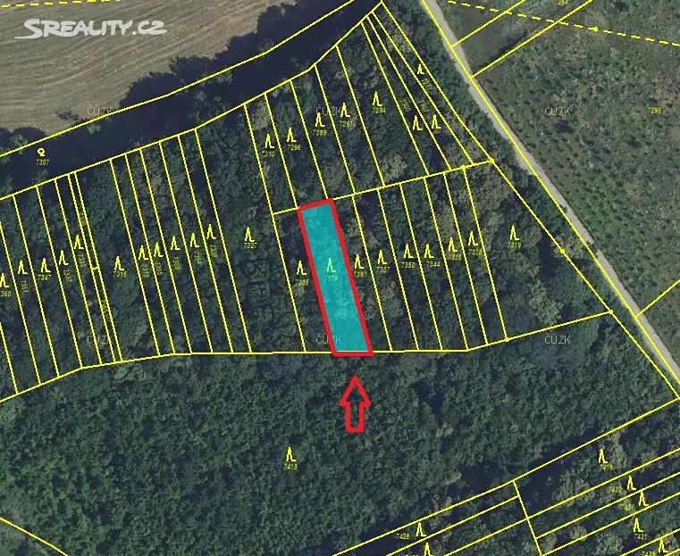 Prodej  lesa 527 m², Lipov, okres Hodonín