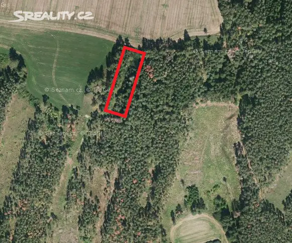 Prodej  lesa 5 687 m², Malý Bor, okres Klatovy