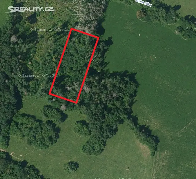 Prodej  lesa 3 677 m², Přeckov, okres Třebíč