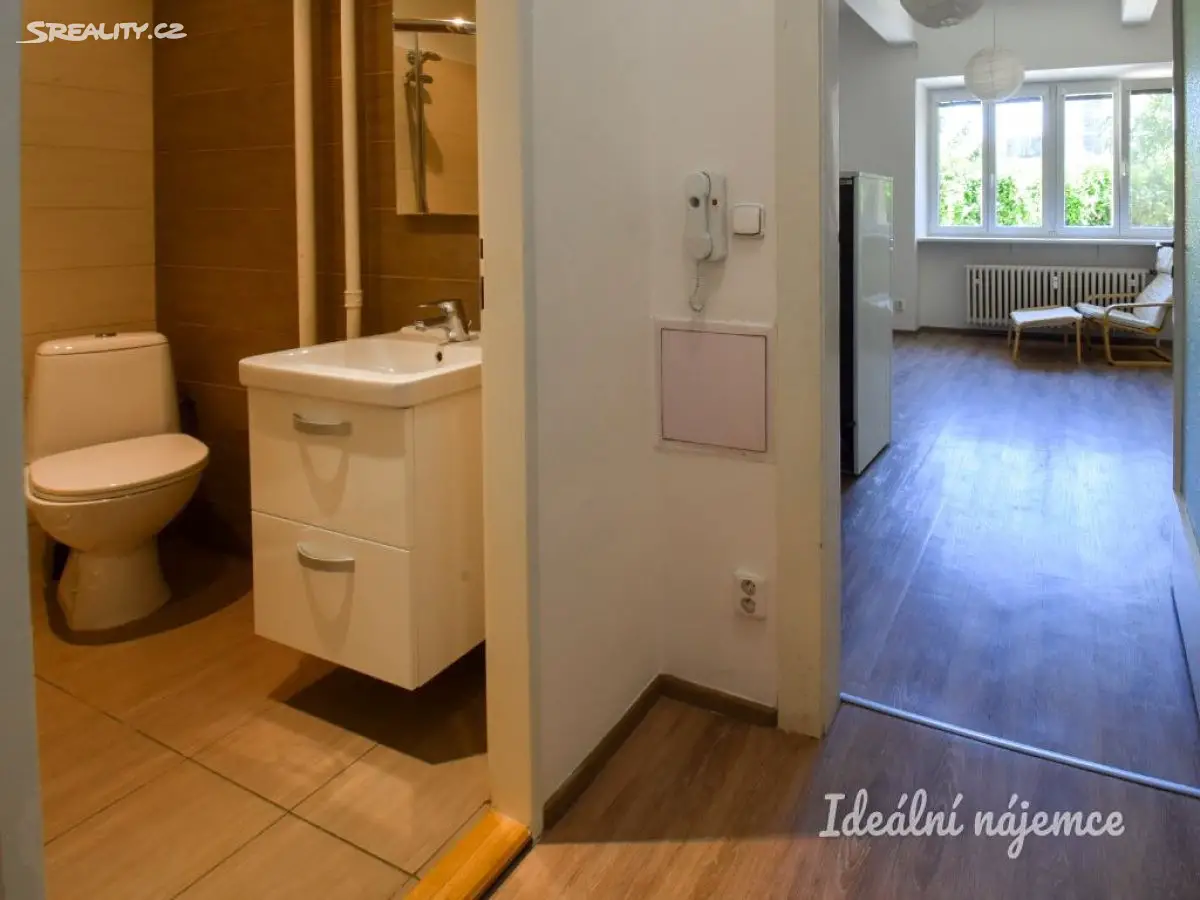 Pronájem bytu 1+kk 31 m², Čápkova, Brno - Veveří