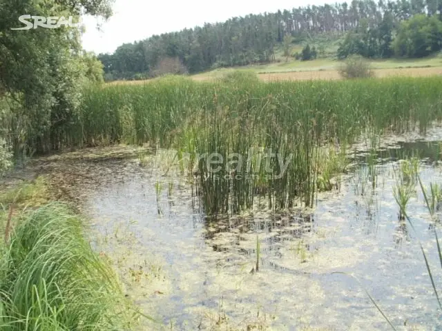 Prodej  rybníku (vodní plochy) 30 355 m², Dublovice - Zvírotice, okres Příbram