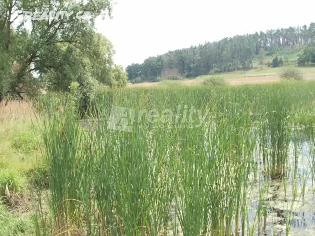 Prodej  rybníku (vodní plochy) 30 355 m², Dublovice - Zvírotice, okres Příbram