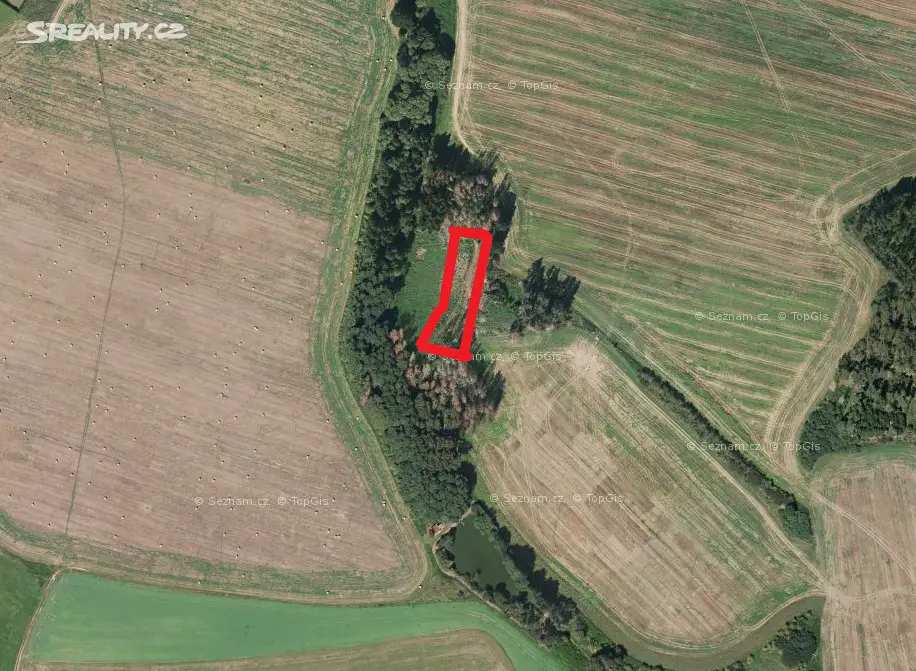 Prodej  lesa 1 075 m², Klatovy - Kydliny, okres Klatovy
