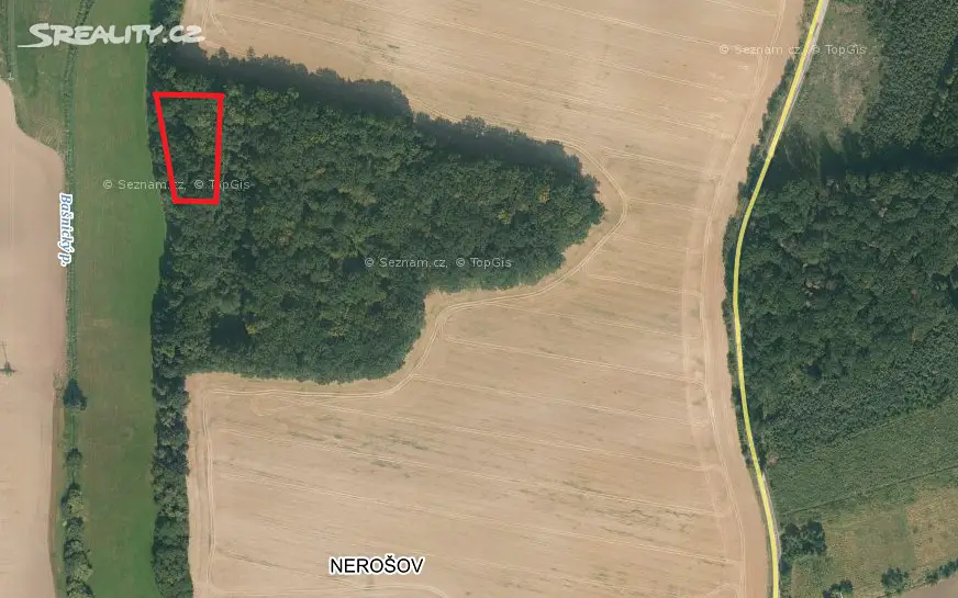 Prodej  lesa 2 733 m², Nechanice, okres Hradec Králové