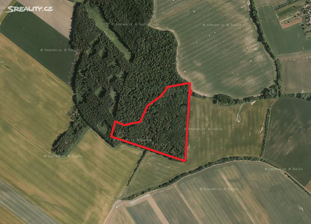 Prodej  lesa 2 698 m², Zborovice - Medlov, okres Kroměříž