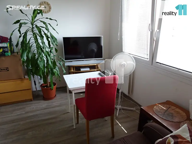 Pronájem bytu 1+1 38 m², Okružní, Stráž pod Ralskem