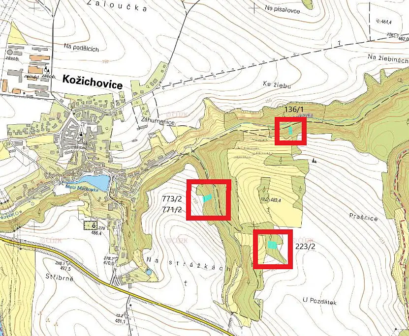 Prodej  lesa 2 432 m², Kožichovice, okres Třebíč