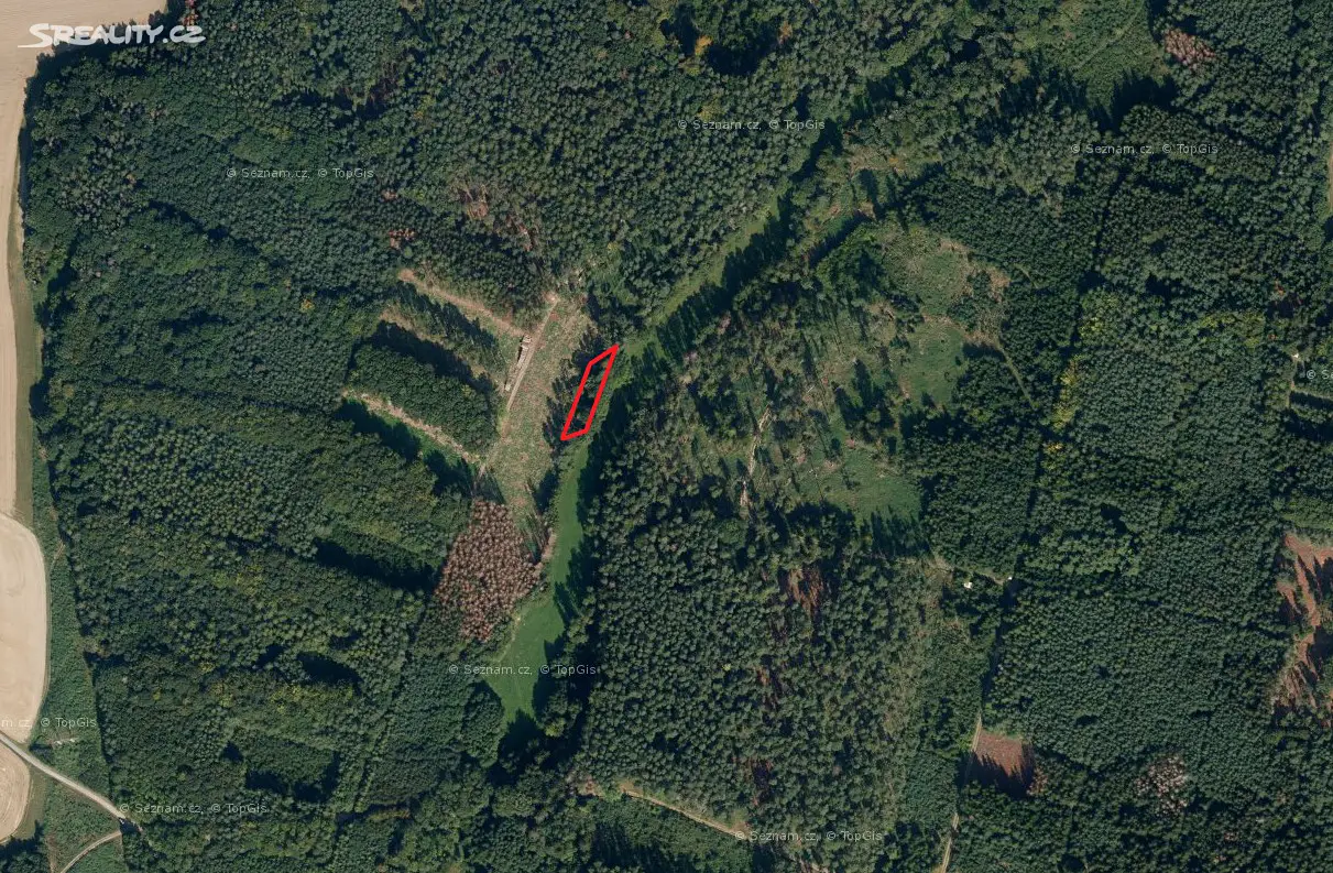 Prodej  lesa 147 m², Morašice - Skupice, okres Chrudim