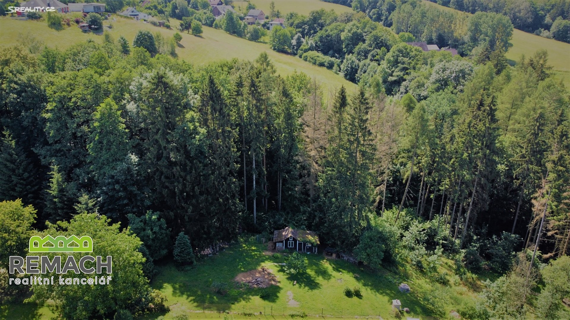 Prodej  lesa 6 467 m², Náchod, okres Náchod