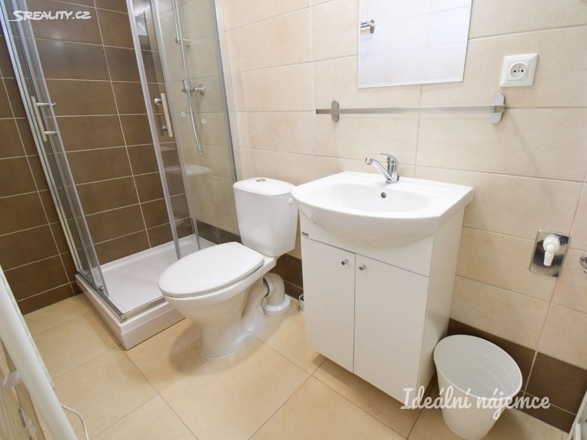 Pronájem bytu 1+kk 19 m², Mendlovo náměstí, Brno - Staré Brno