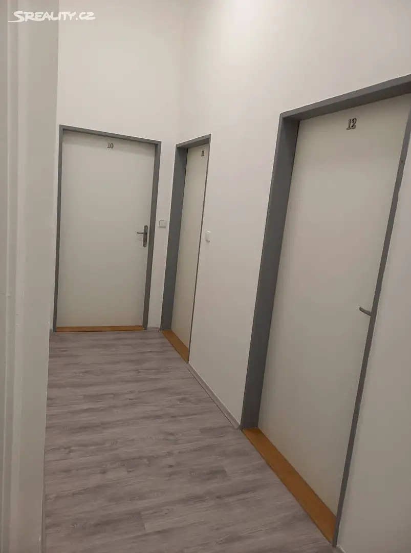 Pronájem bytu 1+1 50 m², Pražská, Liberec - Liberec (nečleněné město)