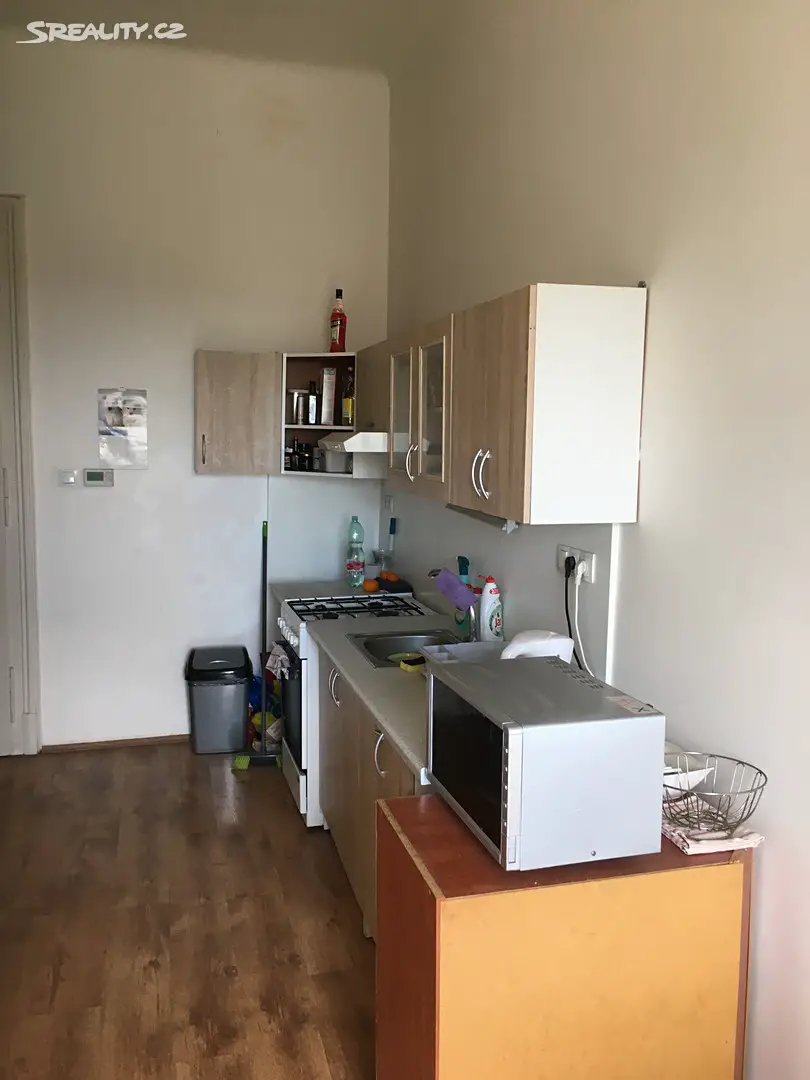 Pronájem bytu 1+1 50 m², Čápkova, Brno - Veveří