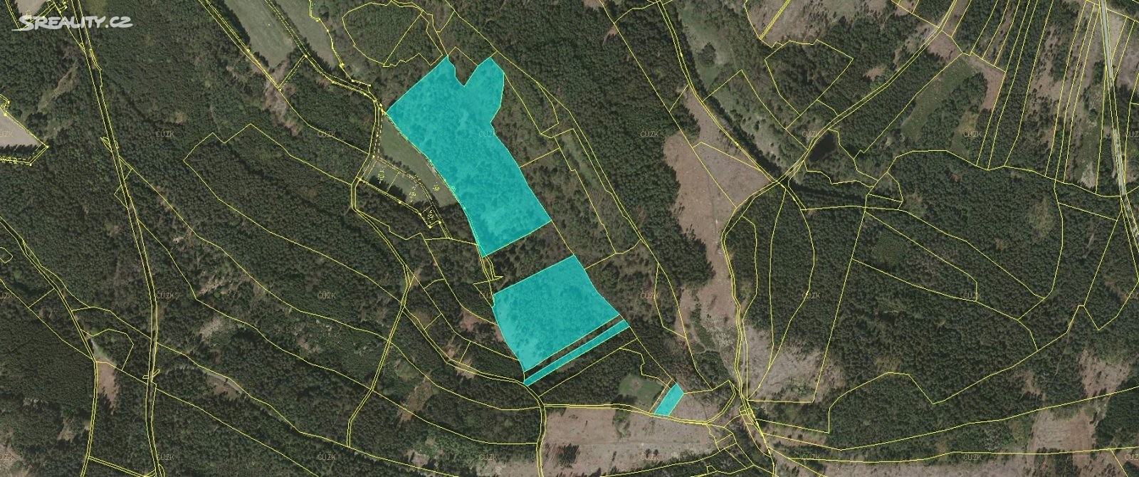Prodej  lesa 4 210 m², Kunžak, okres Jindřichův Hradec