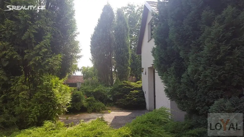 Prodej  chaty 55 m², pozemek 1 798 m², Dívčí Kopy, okres Jindřichův Hradec