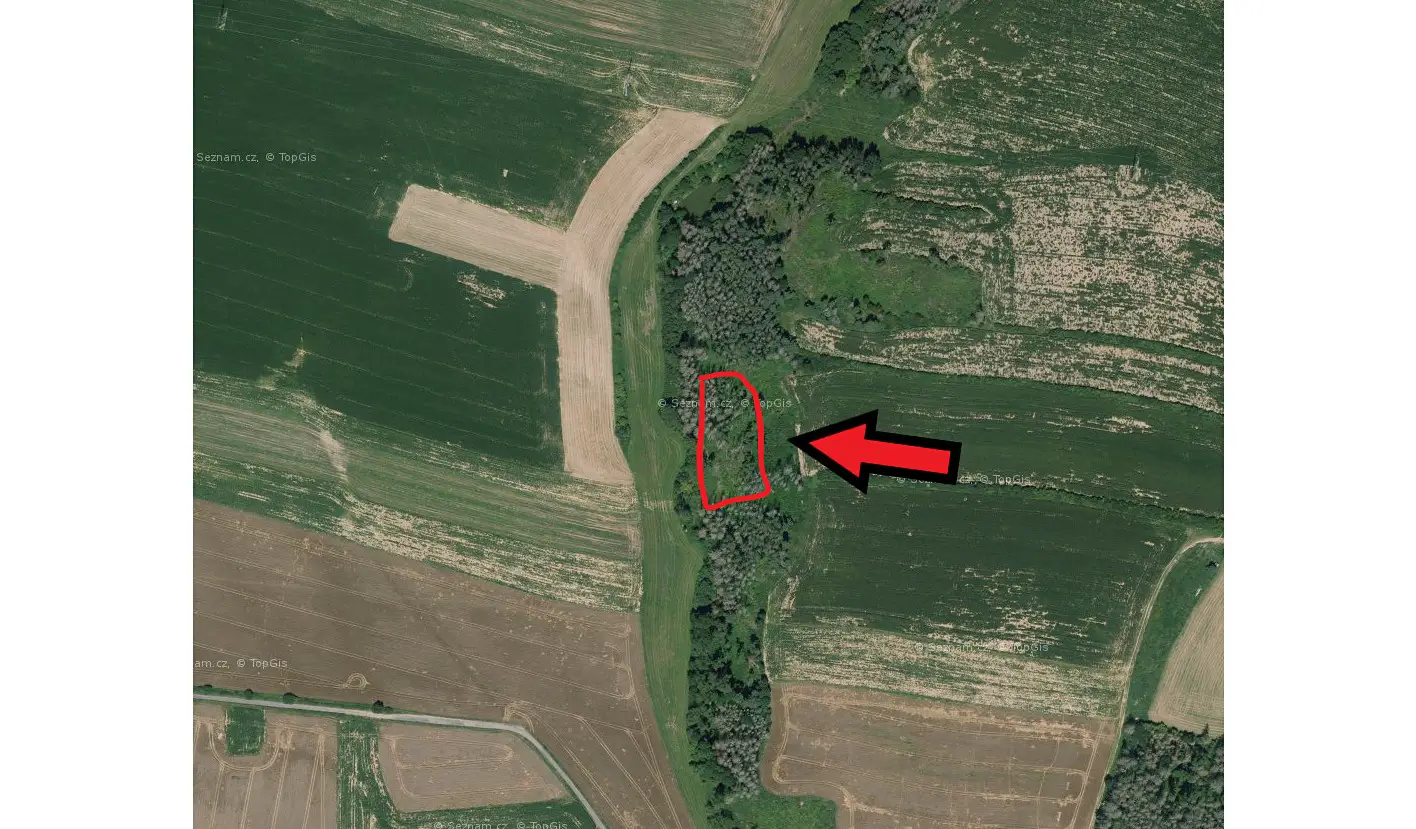 Prodej  lesa 6 582 m², Kouty, okres Třebíč