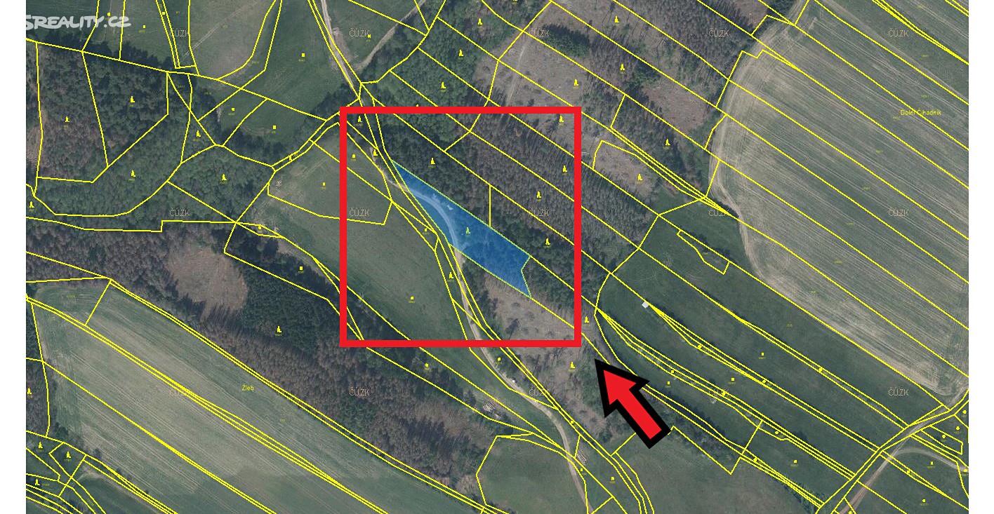 Prodej  lesa 6 582 m², Kouty, okres Třebíč