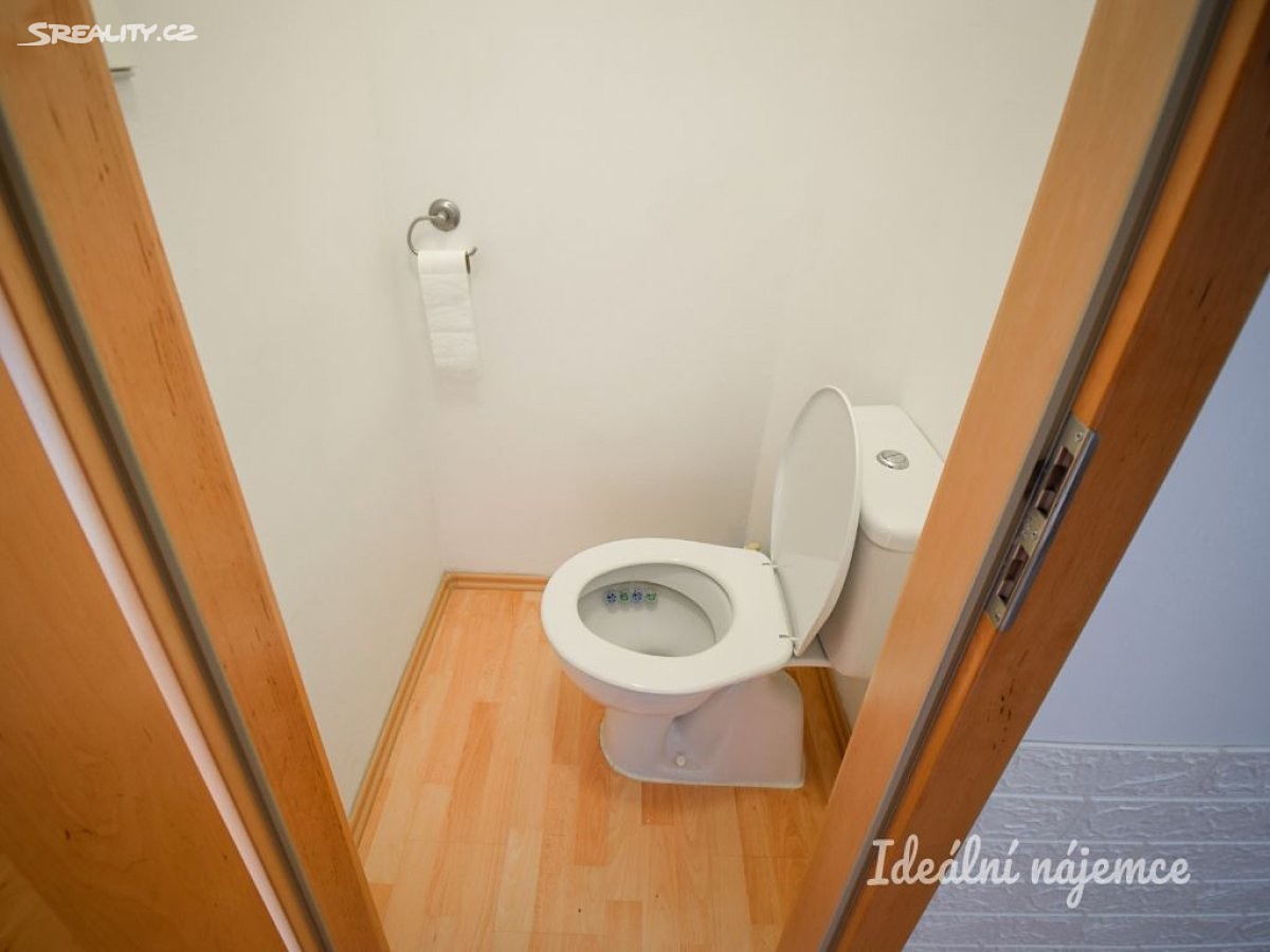 Pronájem bytu 1+1 40 m², Bulharská, Brno - Královo Pole