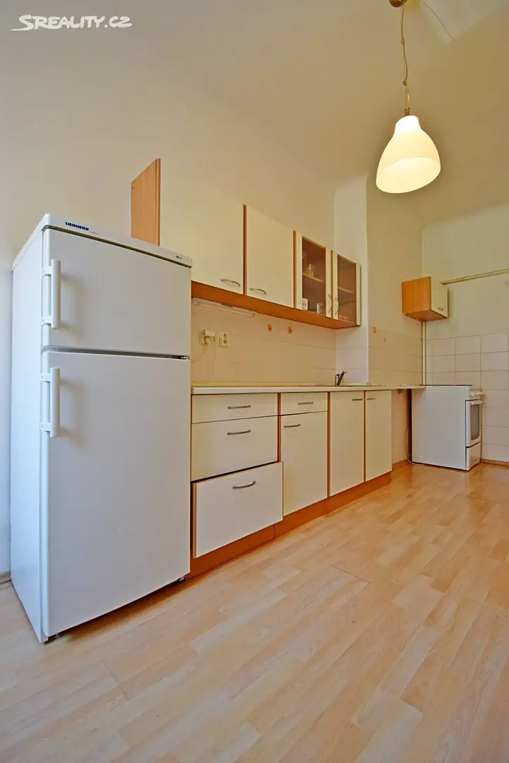 Pronájem bytu 1+1 53 m², Za Zelenou liškou, Praha 4 - Krč