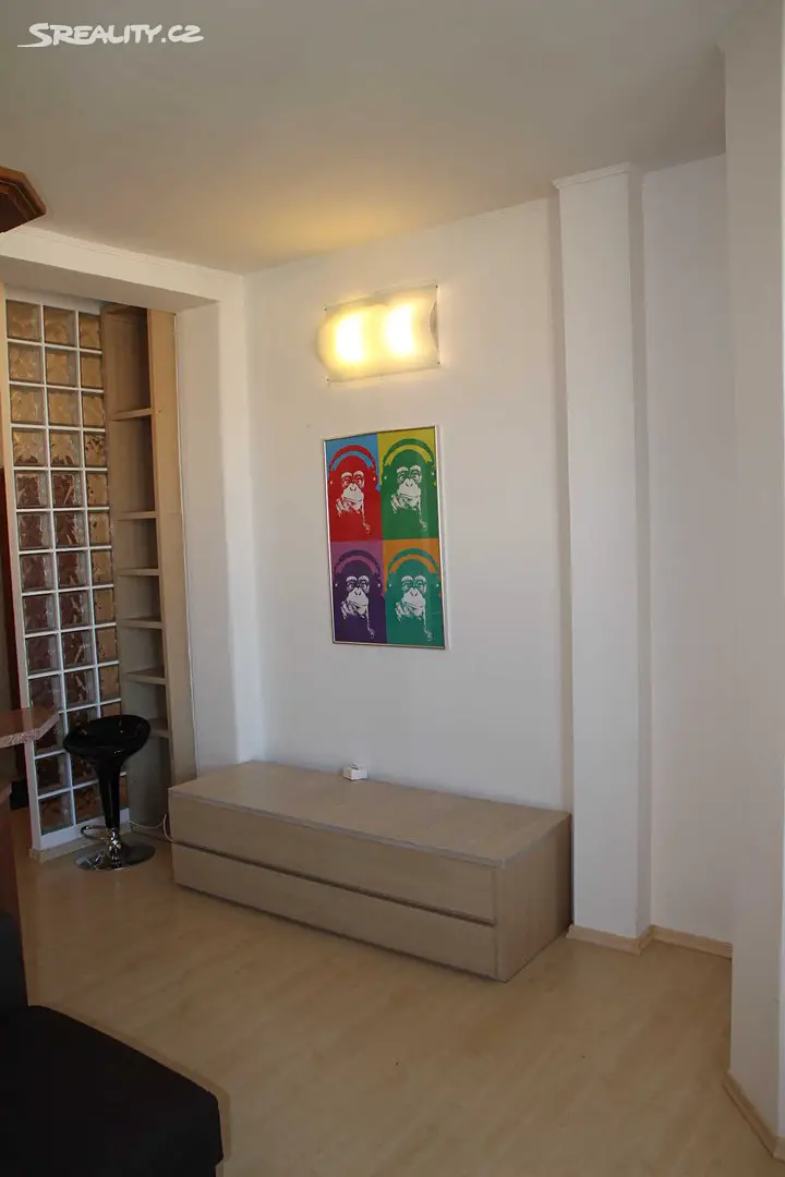 Pronájem bytu 1+kk 25 m², Havlíčkova, Brno - Stránice