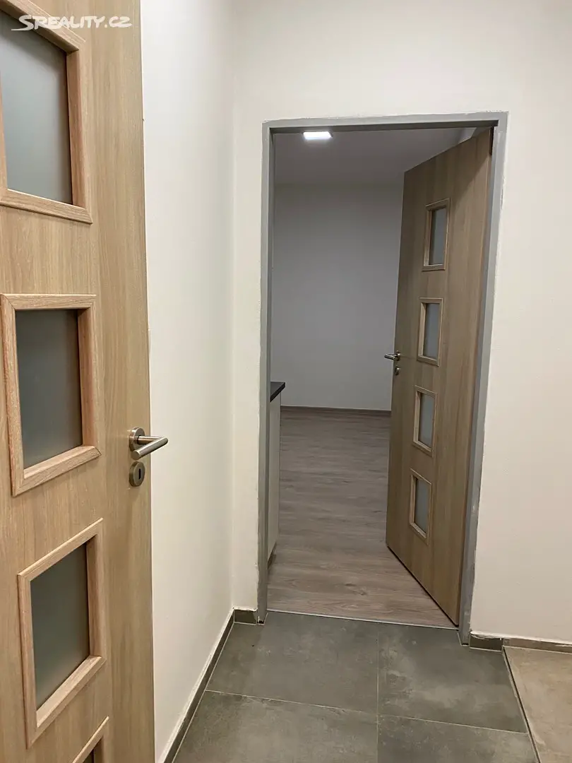 Pronájem bytu 1+kk 18 m², Křenová, Brno - Trnitá