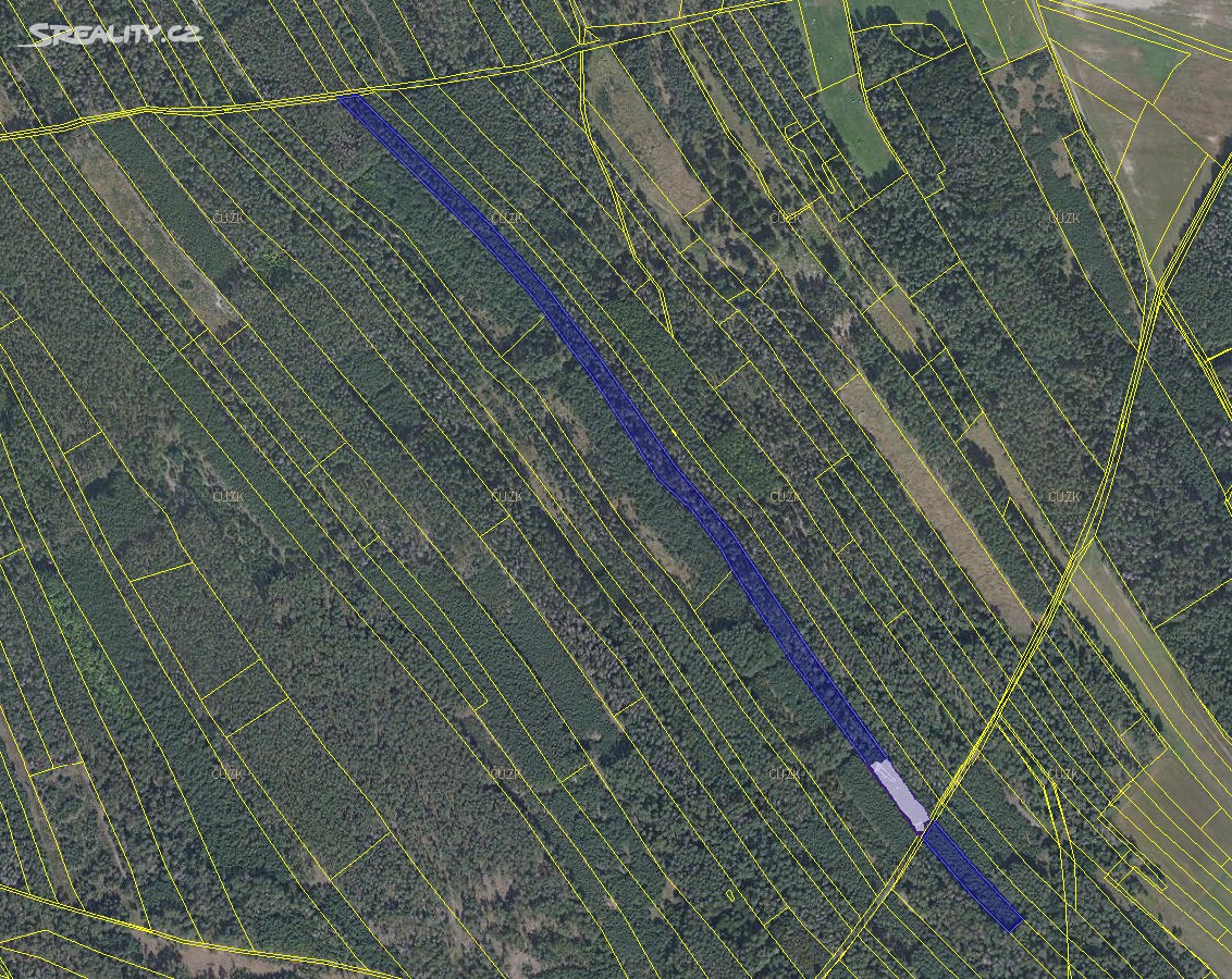 Prodej  lesa 6 890 m², Týnec nad Labem, okres Kolín