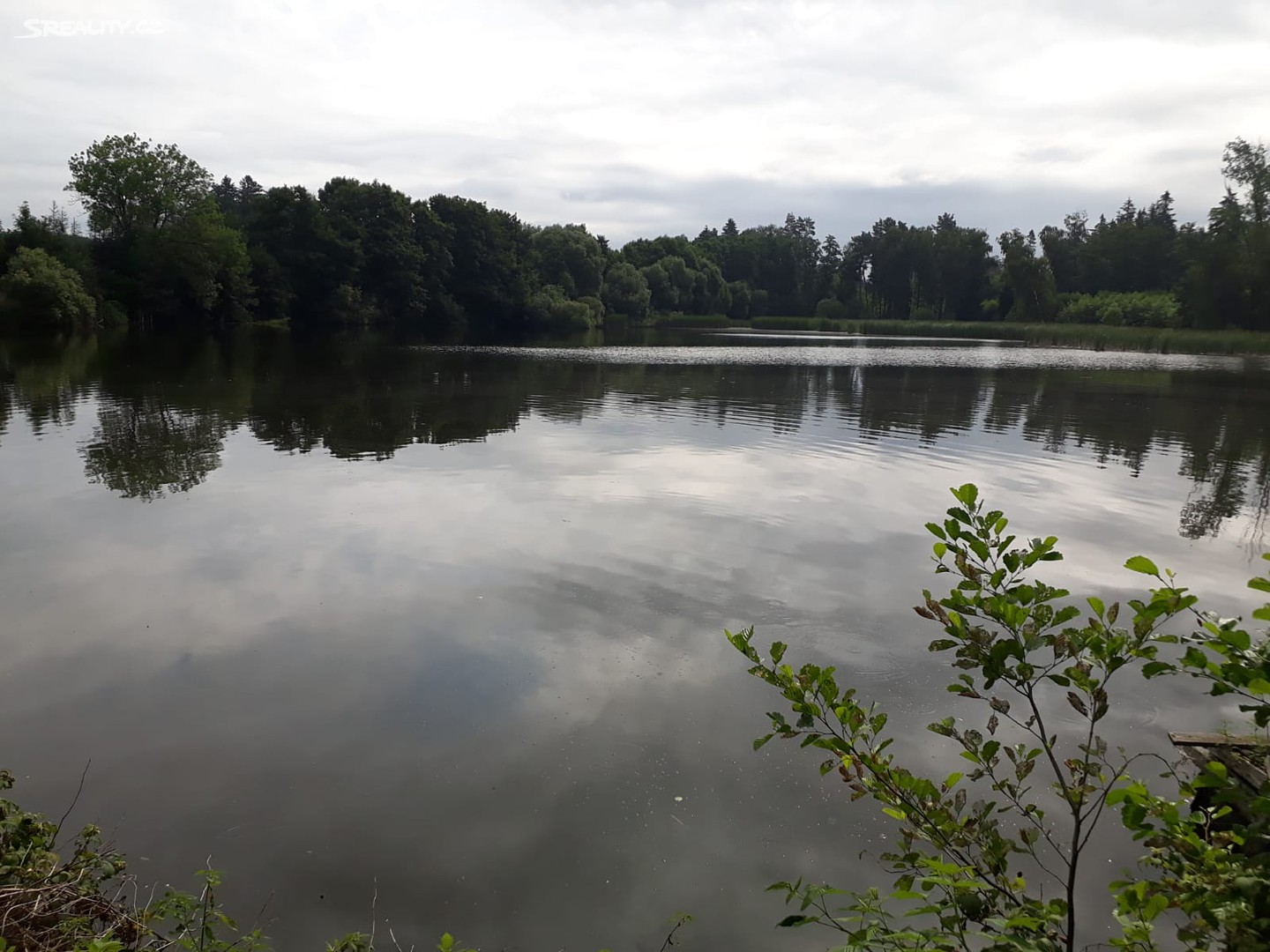 Prodej  rybníku (vodní plochy) 27 000 m², Vysočina, okres Chrudim