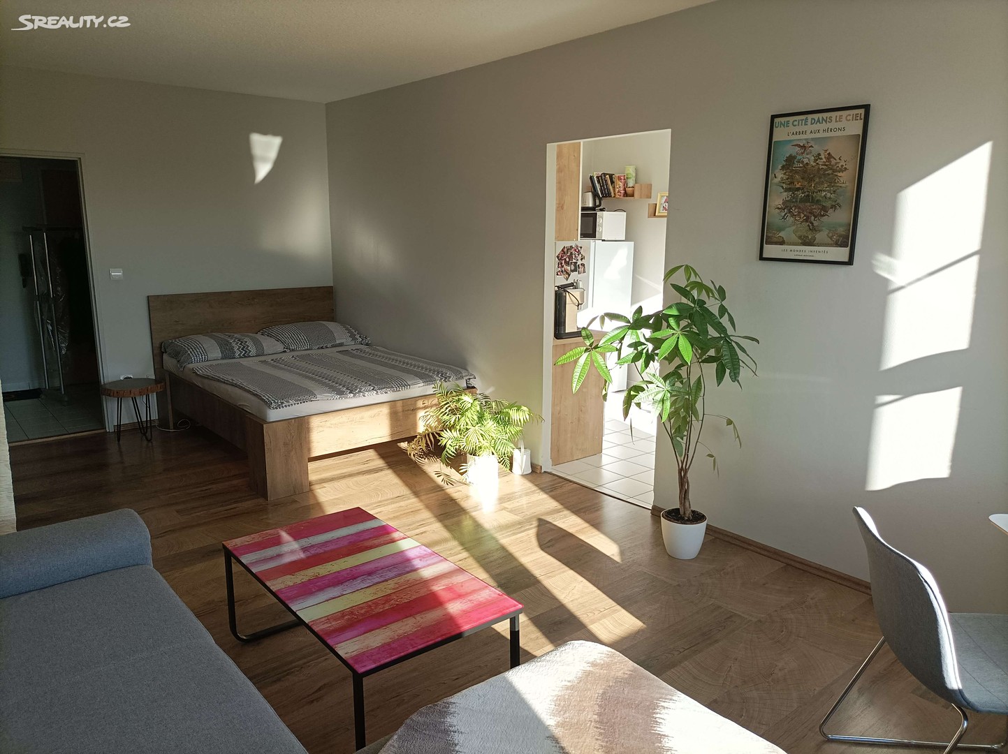 Pronájem bytu 1+1 43 m², Olomouc, okres Olomouc