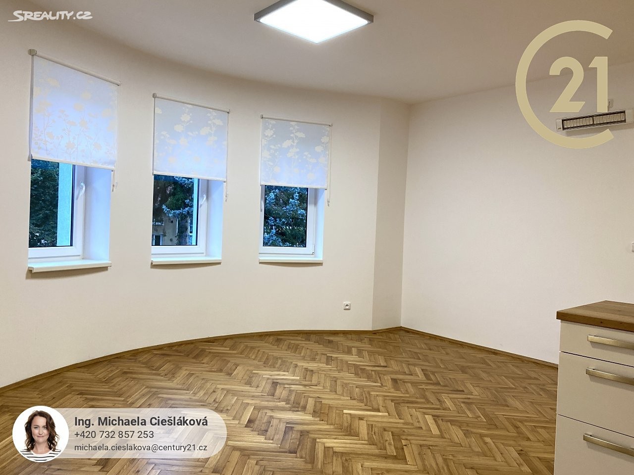Pronájem bytu 3+kk 92 m², Tyršova, Liberec - Liberec V-Kristiánov