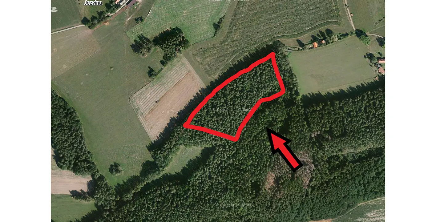 Prodej  lesa 8 060 m², Klučenice - Zadní Chlum, okres Příbram