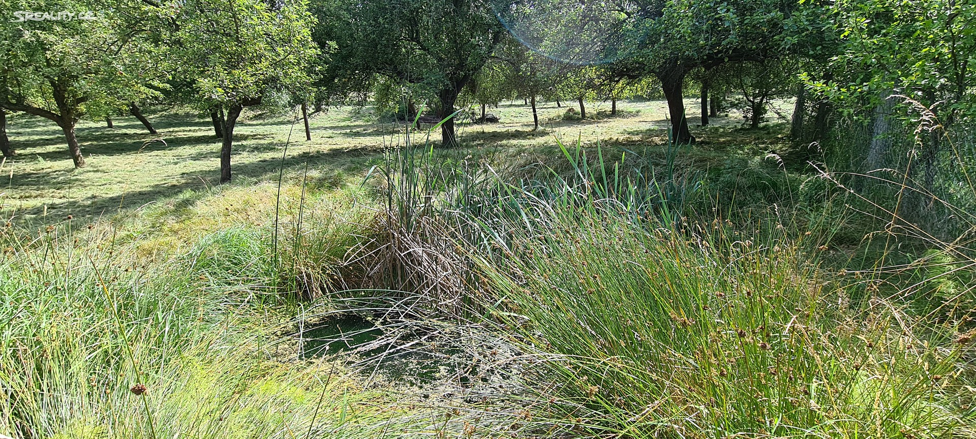 Prodej  stavebního pozemku 16 654 m², Vlachovo Březí, okres Prachatice