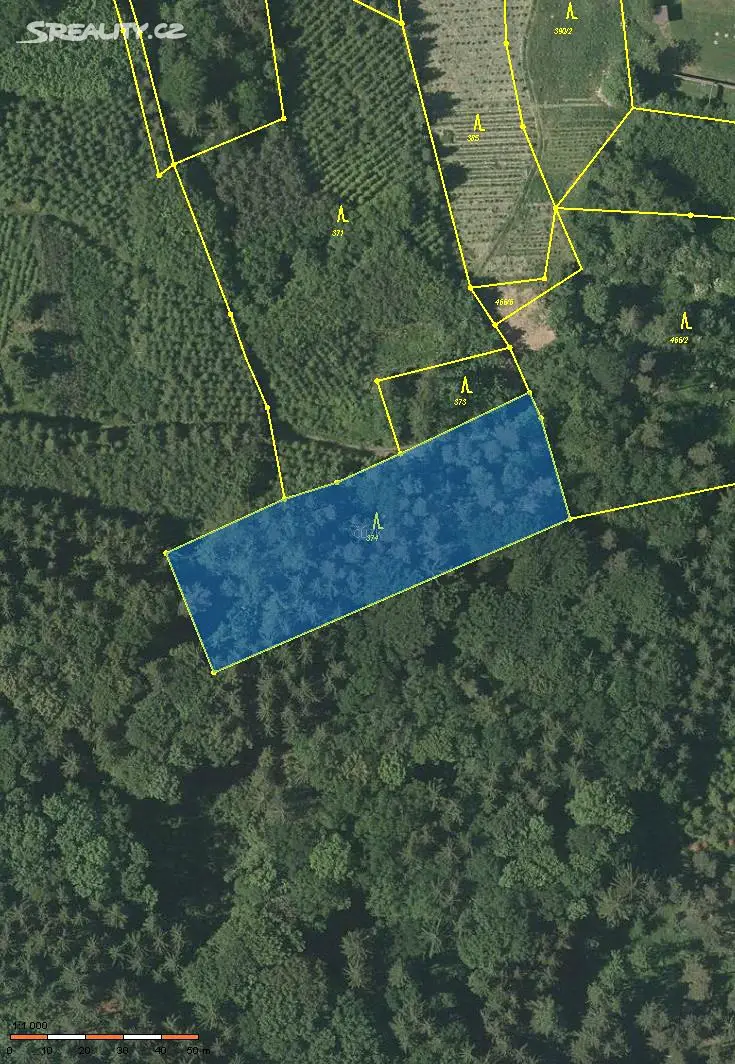 Prodej  lesa 3 559 m², Klatovy, okres Klatovy
