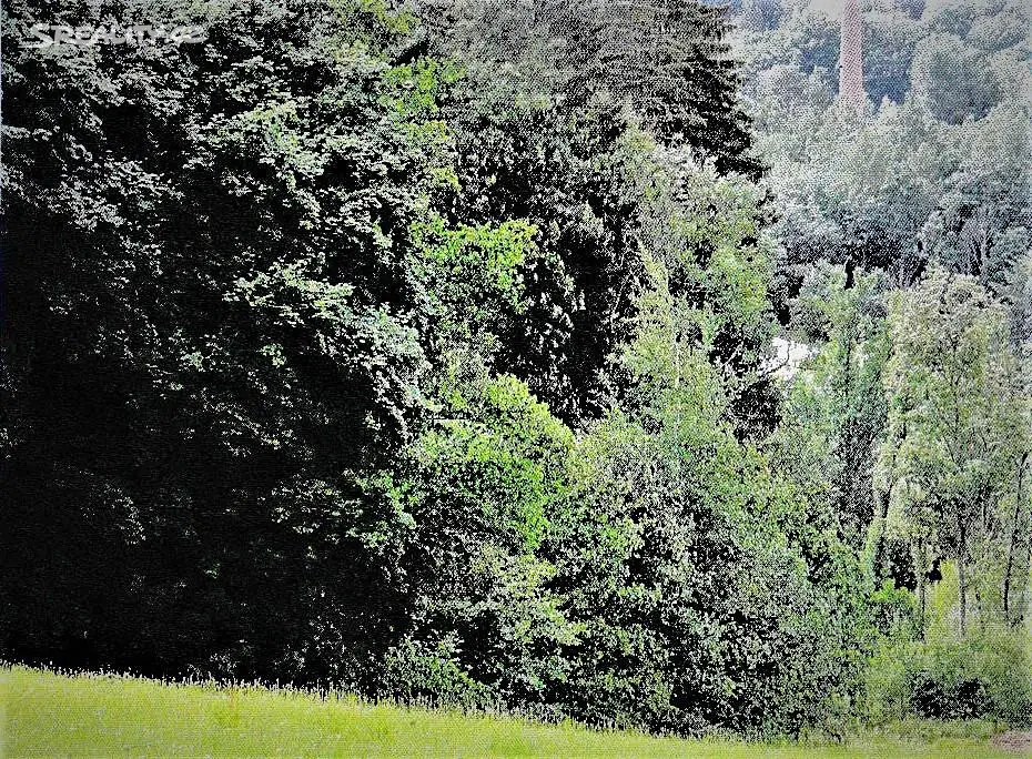 Prodej  lesa 29 754 m², Slaná, okres Semily