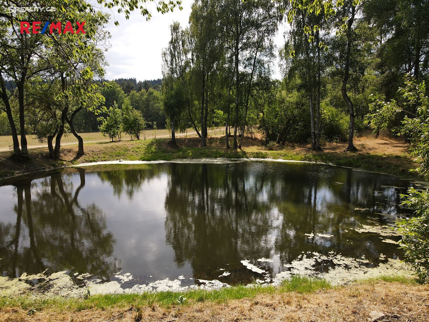 Prodej  rybníku (vodní plochy) 1 995 m², Dlouhý Újezd, okres Tachov