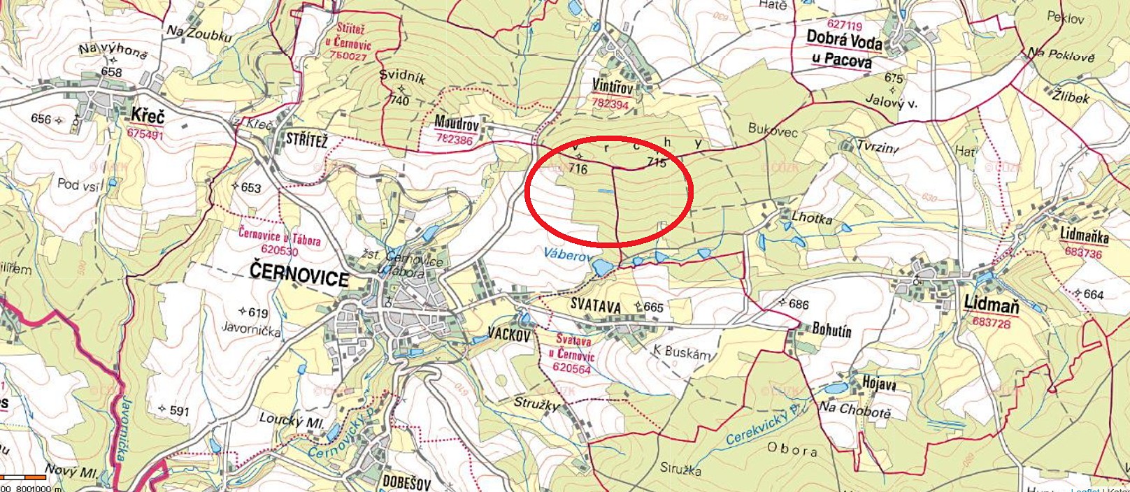 Prodej  lesa 3 547 m², Černovice, okres Pelhřimov