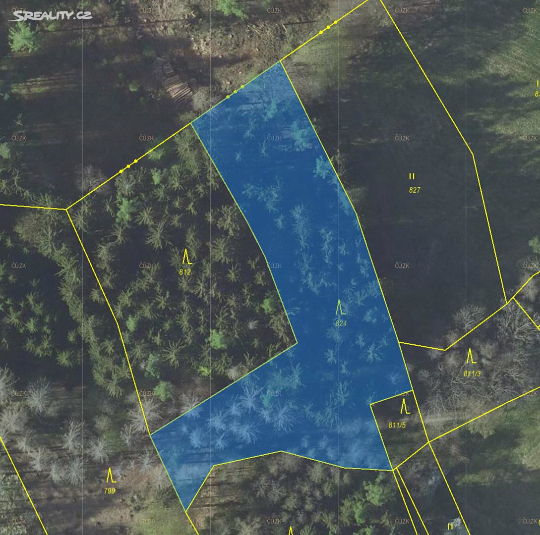 Prodej  lesa 4 000 m², Stříbrná Skalice - Kostelní Střimelice, okres Praha-východ
