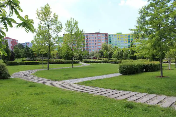 Karafiátová, Neředín, Olomouc