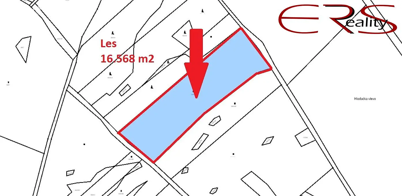 Prodej  lesa 16 568 m², Babice, okres Prachatice