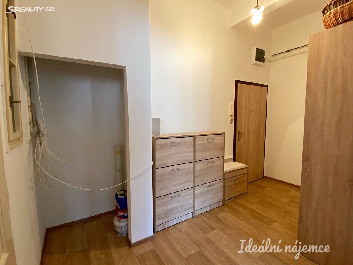 Pronájem bytu 1+1 52 m², V Horkách, Praha 4 - Nusle