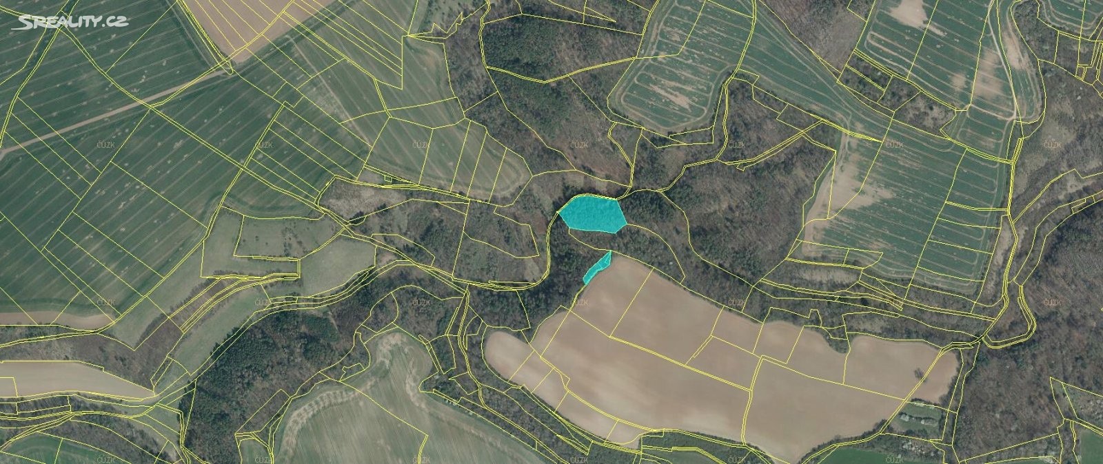 Prodej  lesa 7 016 m², Štětí - Chcebuz, okres Litoměřice