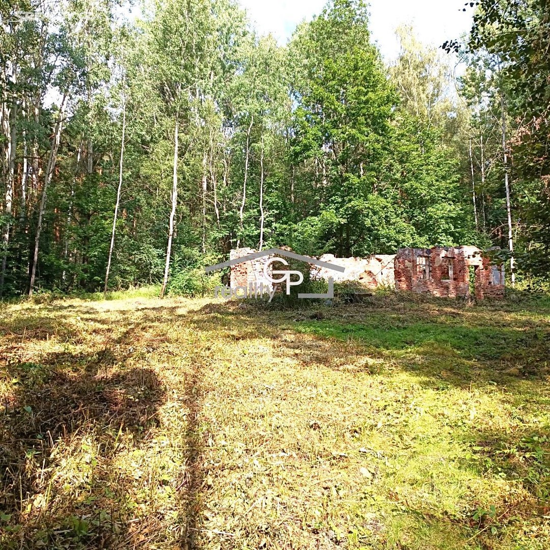 Prodej  stavebního pozemku 1 272 m², Kamenný Újezd, okres České Budějovice