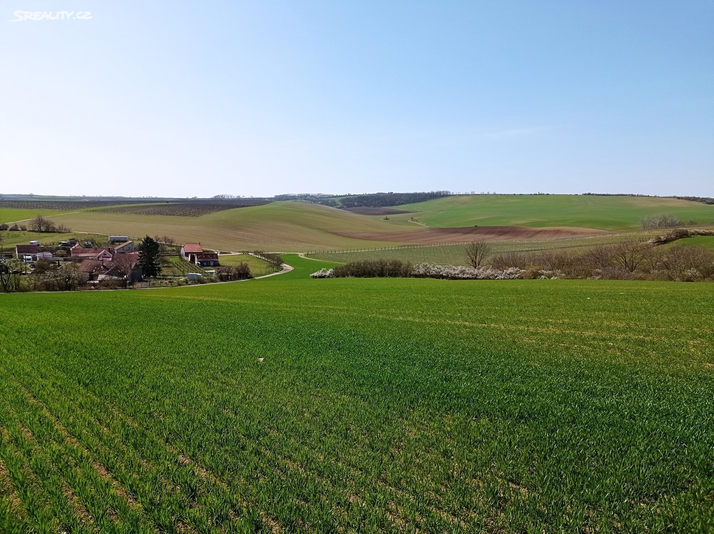 Prodej  pole 14 102 m², Valtice - Úvaly, okres Břeclav