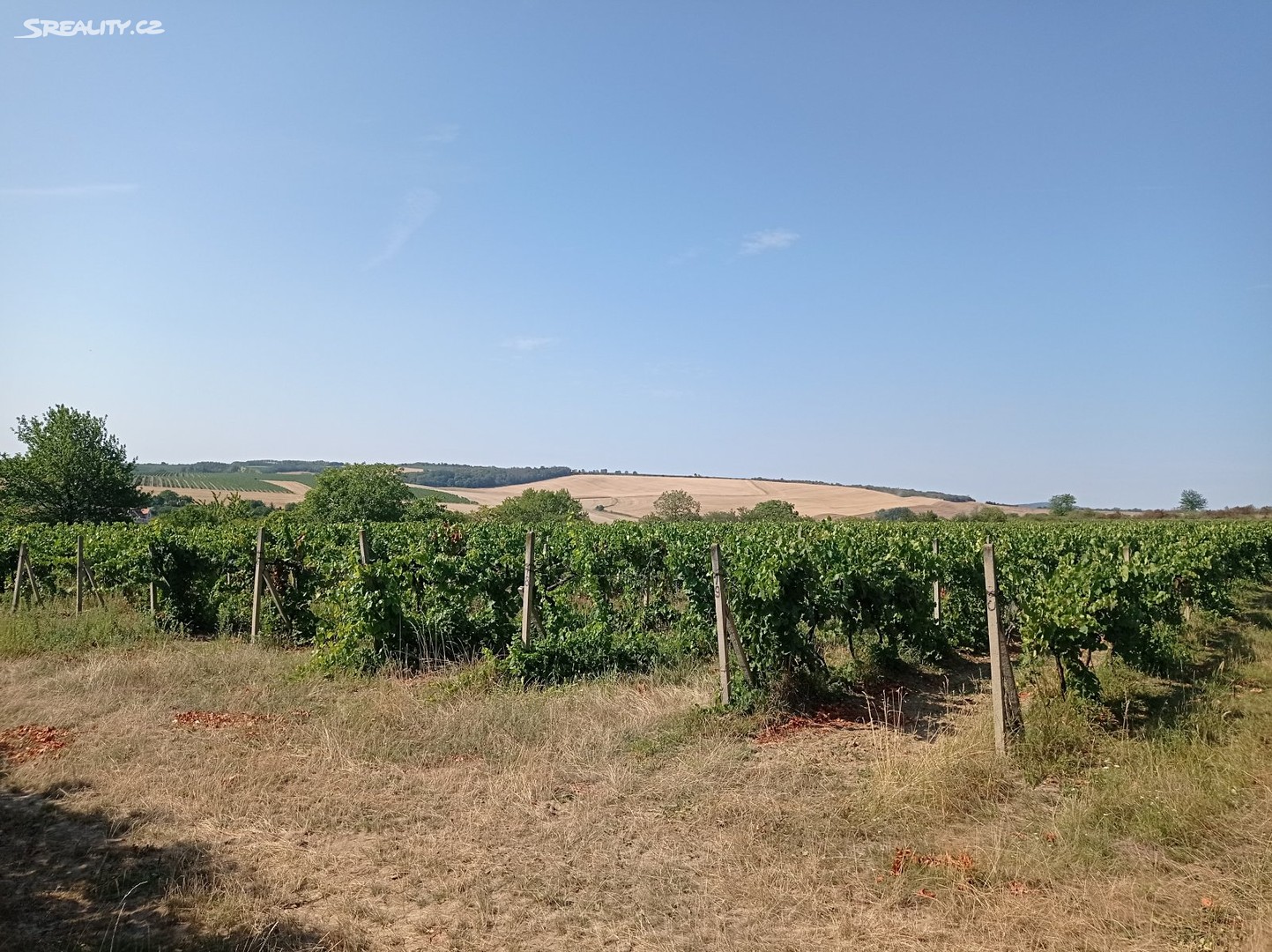 Prodej  sadu, vinice 3 162 m², Valtice - Úvaly, okres Břeclav