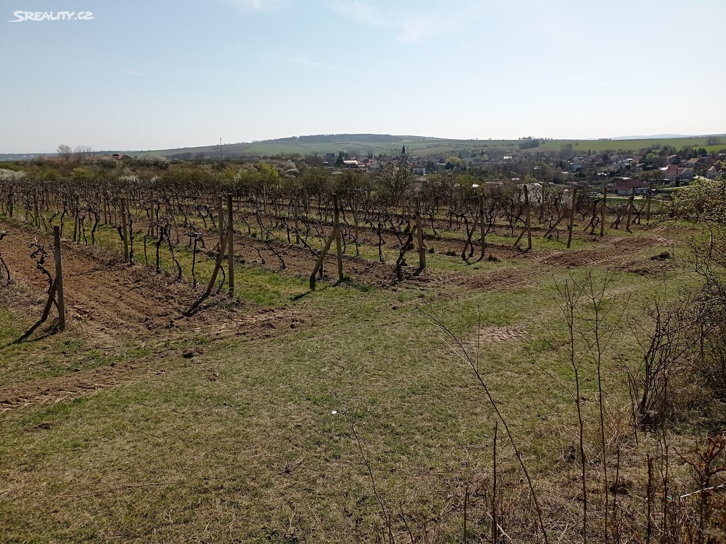 Prodej  sadu, vinice 3 162 m², Valtice - Úvaly, okres Břeclav