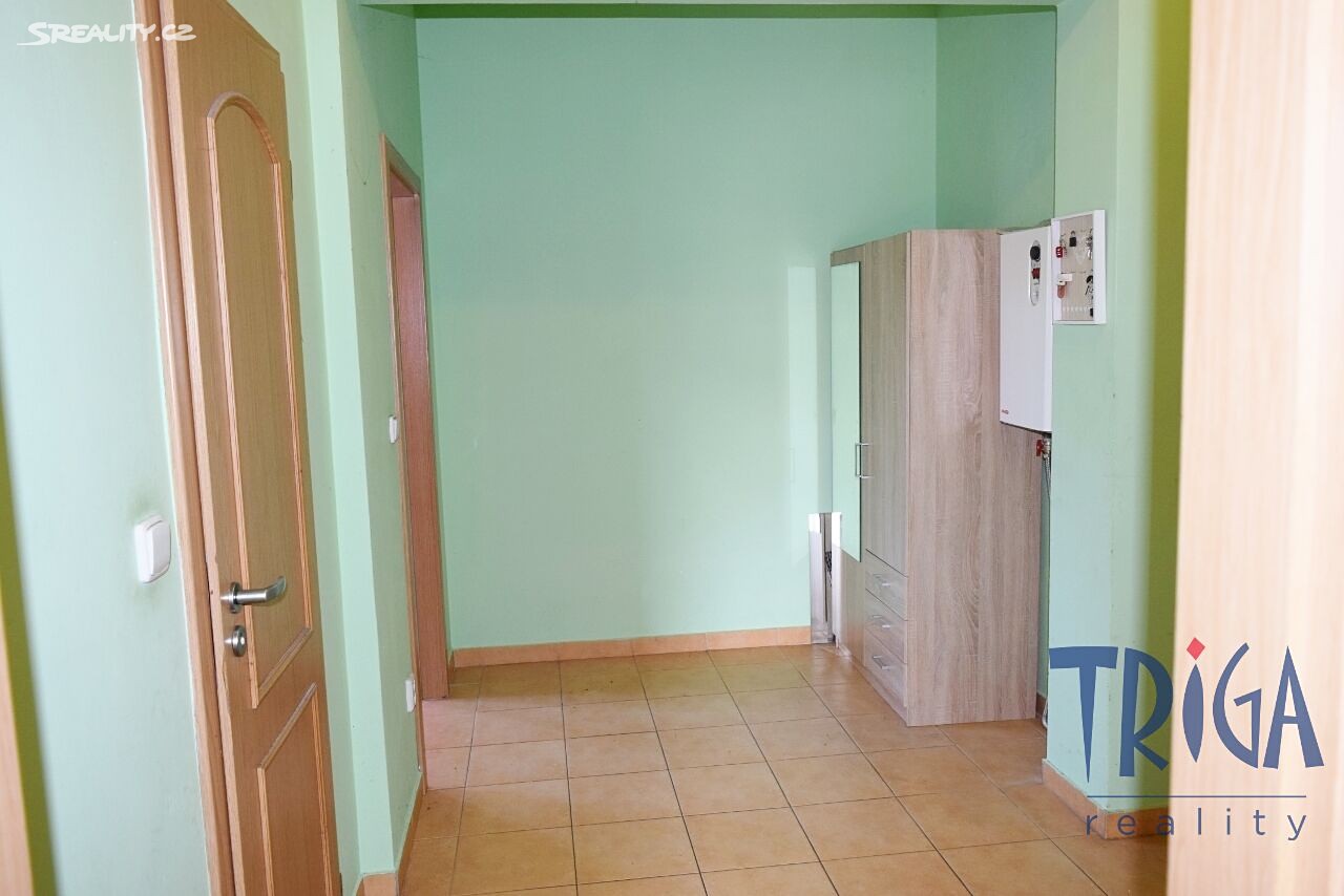 Prodej bytu 2+kk 78 m², Mladé Buky, okres Trutnov