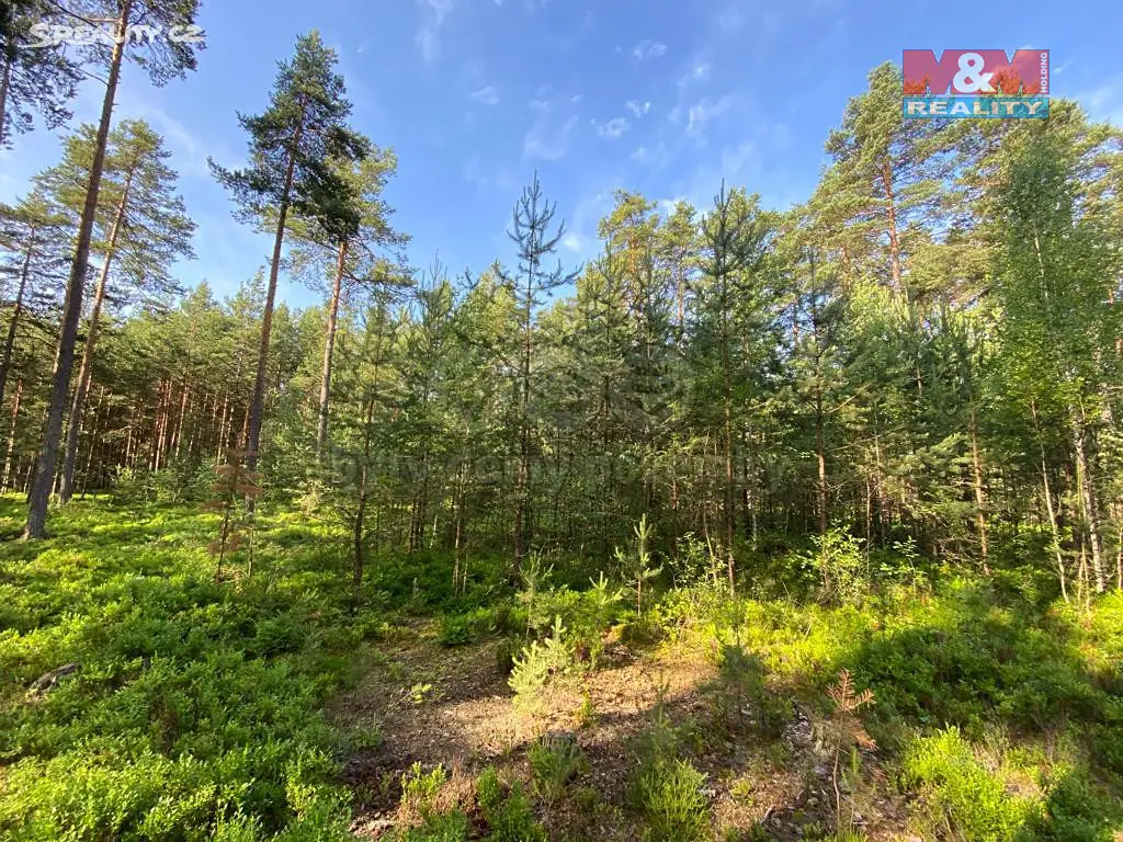 Prodej  lesa 8 511 m², Mladošovice, okres České Budějovice