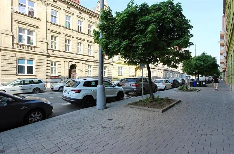 Pronájem bytu 1+1 36 m², Staňkova, Brno - Ponava