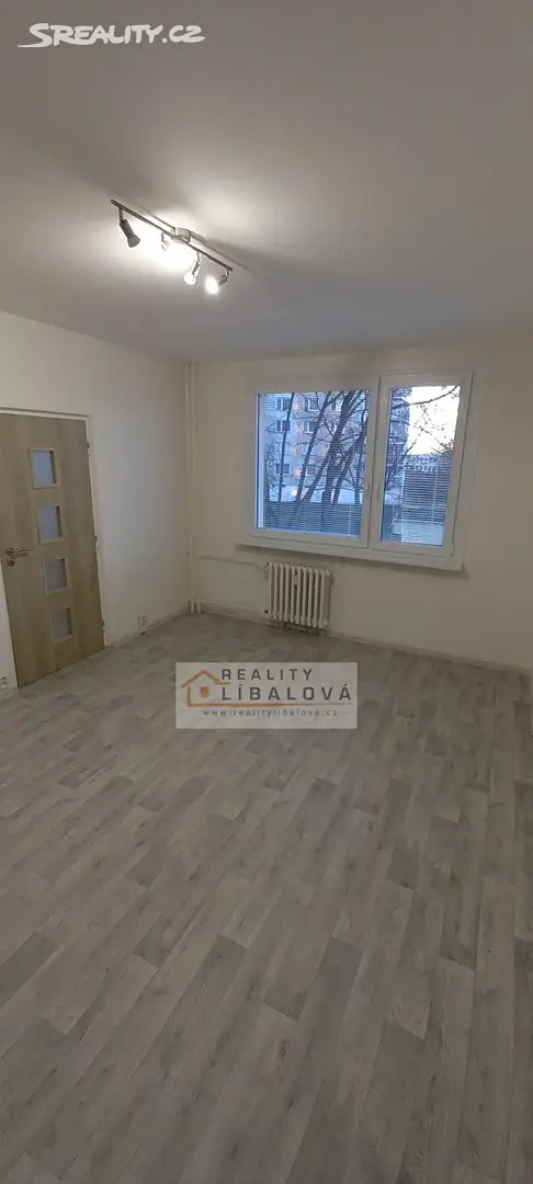 Pronájem bytu 1+1 35 m², Nová, Ústí nad Labem - Střekov