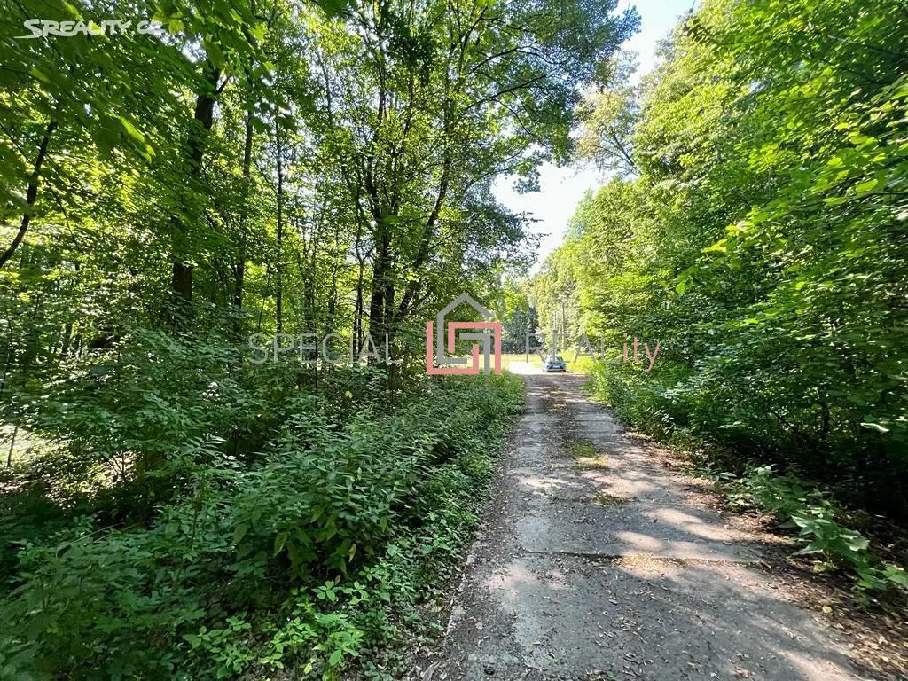 Prodej  lesa 7 288 m², Ostrava - Svinov, okres Ostrava-město